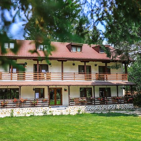 Pensiunea Vinatur Порумбаку-де-Жос Екстер'єр фото