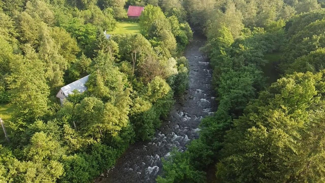 Pensiunea Vinatur Порумбаку-де-Жос Екстер'єр фото
