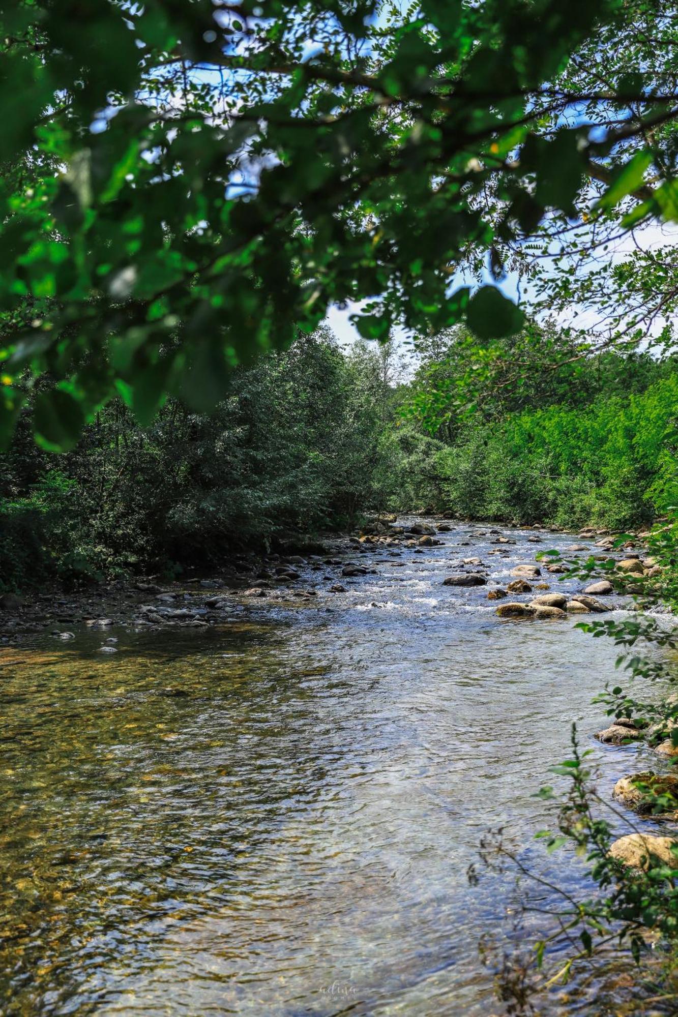 Pensiunea Vinatur Порумбаку-де-Жос Екстер'єр фото